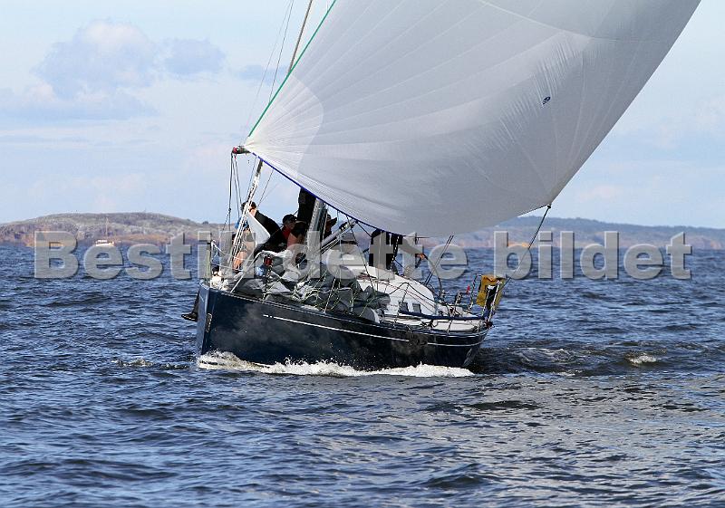 ORCi2 479.jpg